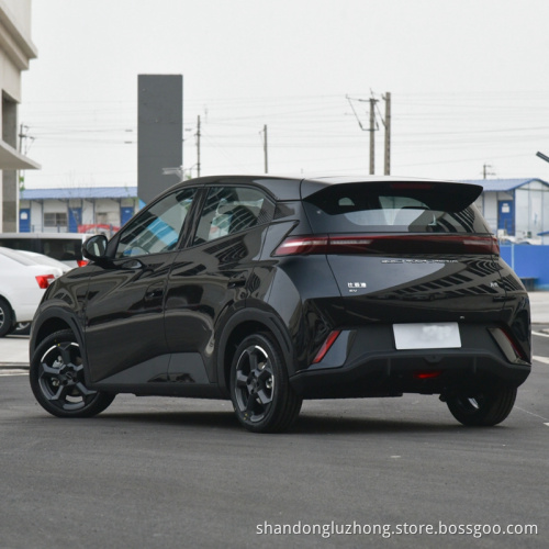 BYD Новые энергетические транспортные средства мини -автомобиль электромобиль для пожилых людей